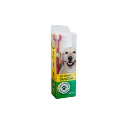 STANGEST KIT DENTAL CEPILLO + PASTA