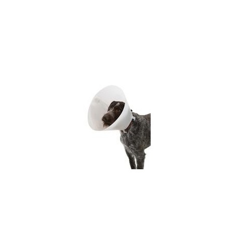 COLLAR ISABELINO BUSTER CLASSIC N35 (1UD) OPACO