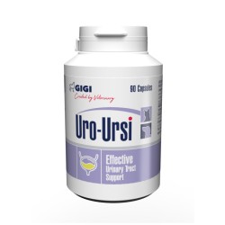 GIGI SUPL. URO-URSI 90 TAB.