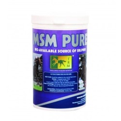 MSM PURE 99%  1KG