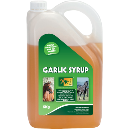 GARLIC SYRUP 6KG
