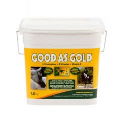 GOOD AS GOLD 1.5KG.