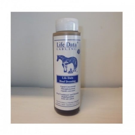 DESINFECTANTE CASCOS LIFE DATA 237ML