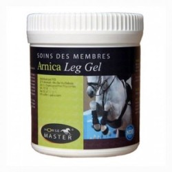 GEL LEG ARNICA 500GR
