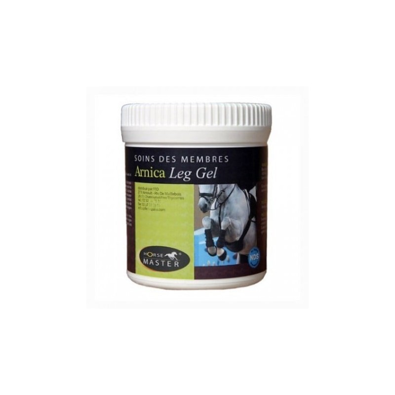 GEL LEG ARNICA 500GR