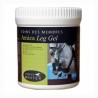 GEL LEG ARNICA 500GR