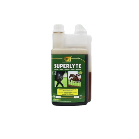SUPERLYTE SYRUP 1L