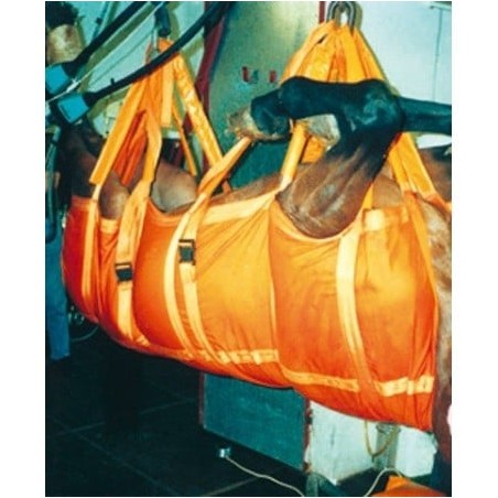 ARNES DE TRANSPORTE EQUINO EQUIVET (281560)