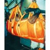 ARNES DE TRANSPORTE EQUINO EQUIVET (281560)