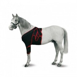 FAJA FRONTAL CABALLO T-S