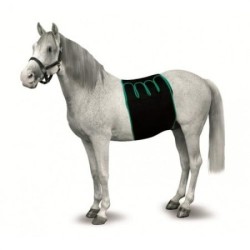 FAJA RECUPERACION EQUINO T-L