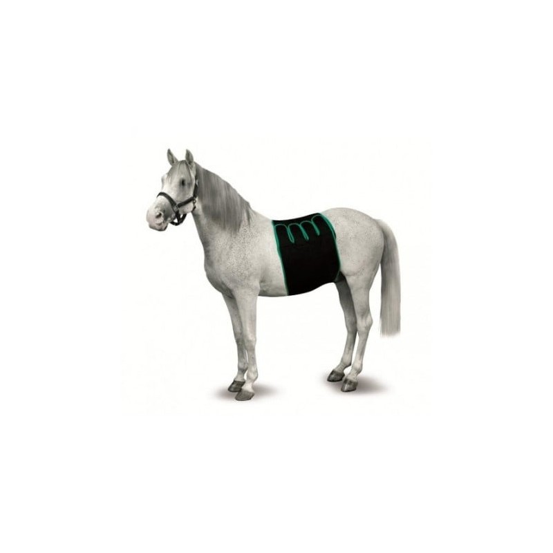 FAJA RECUPERACION EQUINO T-L