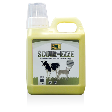SCOUR EZZE 1 LITRO