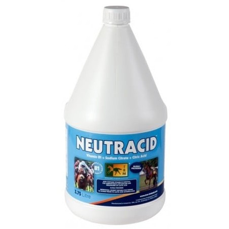 NEUTRACID 3.75 LITROS