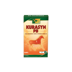 KURASYN PB JERINGA 3X60GR
