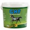 GNF 10KG ULCERA+PROBIOTICO