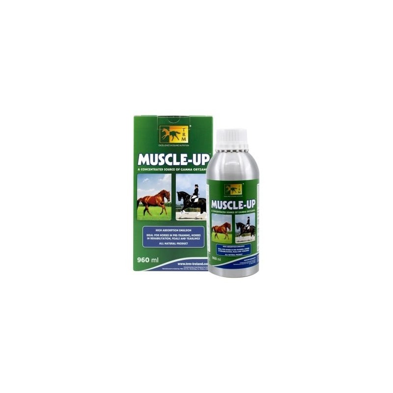 MUSCLE UP 960 ML