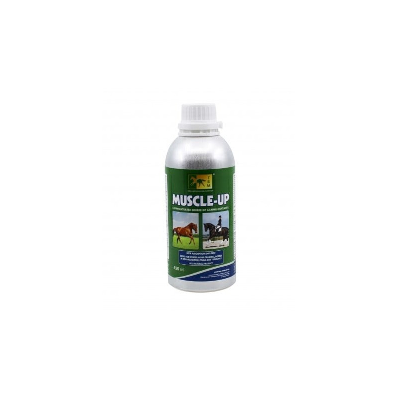MUSCLE UP 450ML