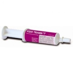 TRIAMIN PRO BUSTER 1JER.60ML