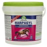 HARPAGYL 900GR