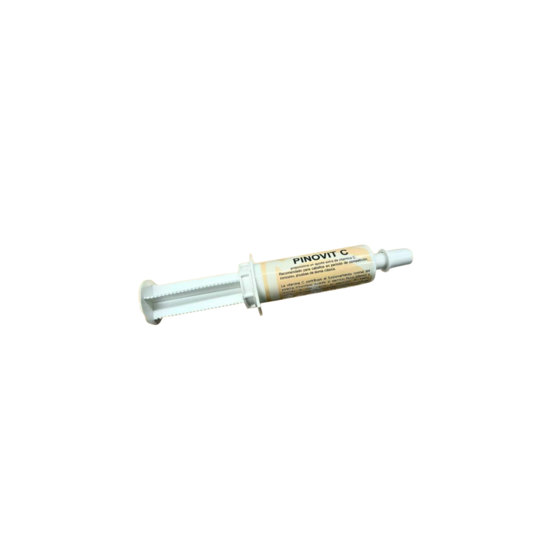 PINOVIT C PASTA ORAL 60ML