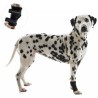 PROTECTOR CARPAL PERRO REHAB KRUUSE T-S