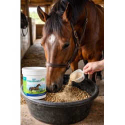NBG EquiShield PC 1 kg | Protector gástrico para caballos