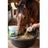 NBG EquiShield PC 1 kg | Protector gástrico para caballos