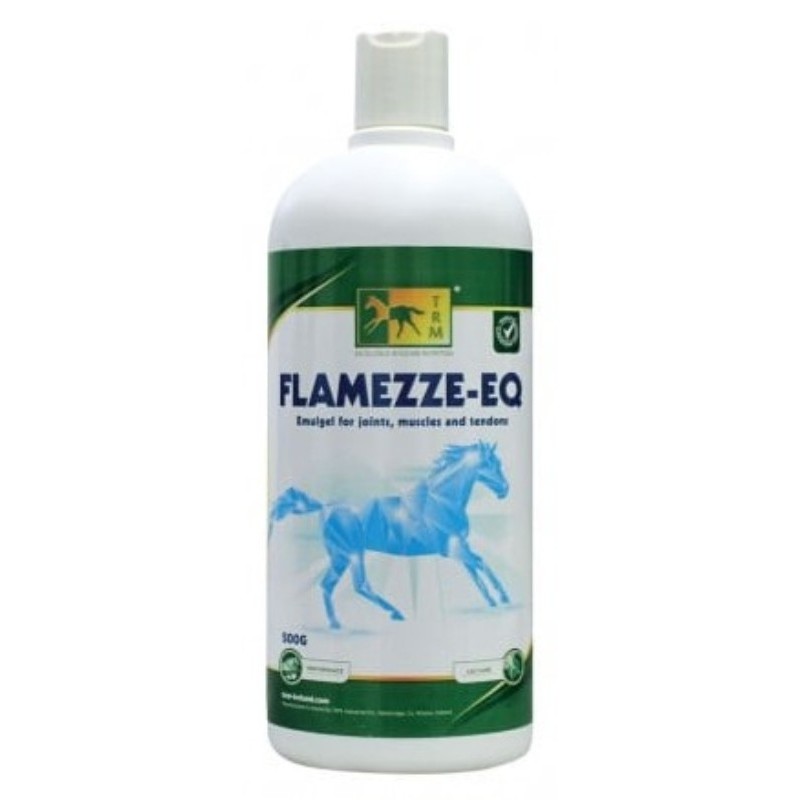 FLAMEZZE-EQ 500G