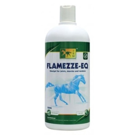 FLAMEZZE-EQ 500G