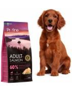 Profine