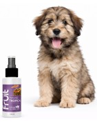 Perfumes para Perros