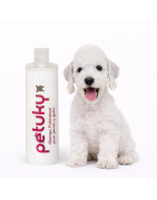 Petuky