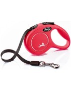 Flexi´Cinta