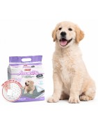 Empapadores Para Perros