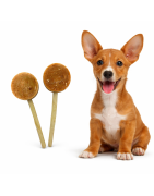 Piruletas Perros.