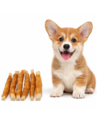 Palitos Snacks