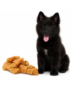 Crujientes Snacks