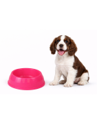 Comedero Plastico