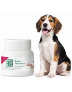 Polvo Hemostático Perros.