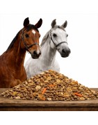 Piensos para caballos.