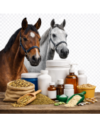 Suplementos nutricionales