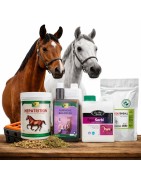 Equilibrio hormonal y metabolismo en caballos | Suplementos equinos