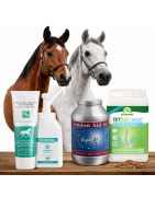 Articulaciones y Tendones para Caballos | Suplementos | AnimalDream