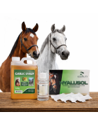 Respiratorio caballos