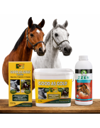 Calmantes y Comportamiento para Caballos | AnimalDream