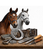 Herrería-cascos caballos