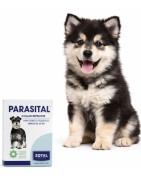 Antiparasitarios Perros