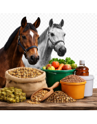 Alimentación Caballos