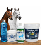 Muscular tendones caballo